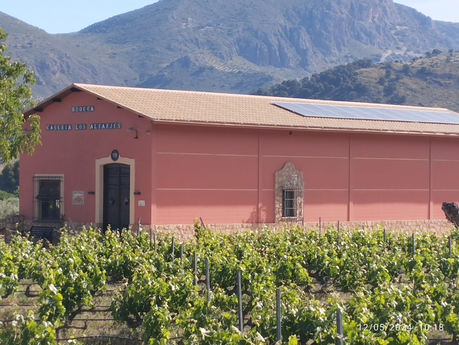 WhatsApp Image 2024 07 21 at 11.26.54